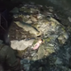 Image for article titled The Hardest Lesson in The Last of Us